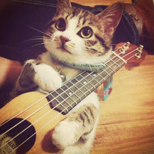 暴躁女人特黄大片
